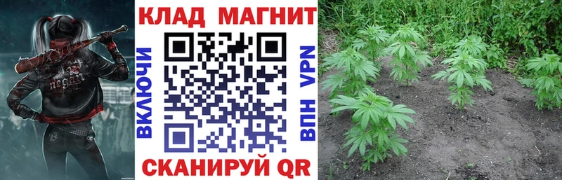 Виды наркоты Покровск МЕТАМФЕТАМИН  Амфетамин  Кокаин  Конопля  omg ссылки  А ПВП 