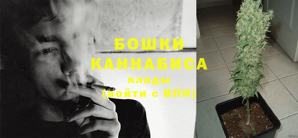 стафф Беломорск