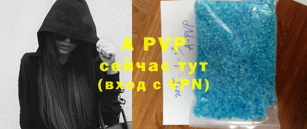 PSILOCYBIN Белоозёрский