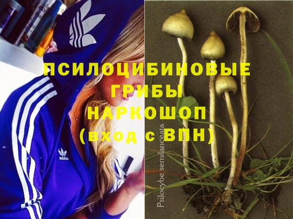 герыч Белокуриха