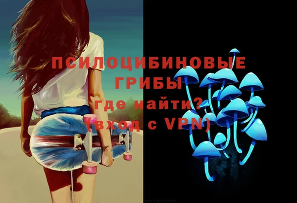 PSILOCYBIN Белоозёрский