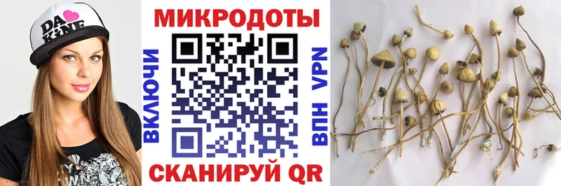 даркнет сайт  Покровск  MEGA ССЫЛКА  Галлюциногенные грибы мухоморы 